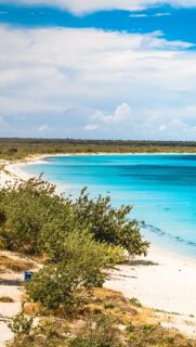 On connaît tous Punta Cana… mais la République Dominicaine cache bien plus que ses plages célèbres.
À l’extrême sud-ouest du pays se trouve un joyau classé parmi les plus beaux du monde : Bahía de las Águilas 🐚
Eau turquoise à perte de vue, sable blanc immaculé, nature encore sauvage et préservée… Ici, c’est le paradis dans sa version la plus authentique. Une expérience unique, loin des foules et des clichés à ne pas manquer ! 
#republiquedominicaine #pedernales #bahiadelasaguilas
