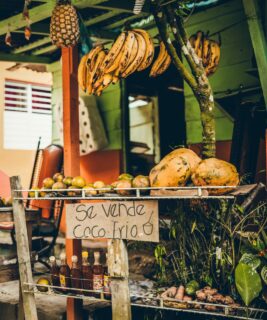 On connaît tous le bleu turquoise des brochures, mais la vraie République Dominicaine, celle qui bat au rythme de la bachata, est ailleurs. 🇩🇴 Elle réside dans ces fragments de vie qui composent le quotidien des locaux :
🍍 Stand de fruits : Le petit-déjeuner idéal, frais et gorgé de soleil, à savourer avant de partir explorer l’île. 
🎲 Dominos : Le sport national. On claque le bois sur la table et on refait le monde près d’un colmado ou dans le jardin chez l’habitant. 
🏠 La Casita : Ces maisons colorées en “dentelle de bois”, gardiennes d’un charme intemporel. 
⚾️ Duo sacré : La ferveur du baseball, le sport national, accompagnée d’une Presidente “vestida de novia” (bien givrée). 
🥑 Vendeurs ambulants : L’art de dénicher un avocat crémeux au coin de la rue pour un déjeuner sur la plage.
🚍 La Guagua : Plus qu’un transport public, une aventure humaine rythmée par le merengue. 
🍧 Frio Frio : L’élégance d’une glace pilée artisanale pour braver la chaleur tropicale. 
💈 Barbier : Le sanctuaire du style et le cœur social de chaque quartier. 
🛣️ Les ruelles : Un théâtre de contrastes fascinant où chevaux et voitures de sport se côtoient.
C’est ça, notre “Rep Dom”, celle que nous aimons vous faire découvrir. Une terre authentique, bruyante, généreuse mais surtout UNIQUE 🫶
#beyondclichés #republicadominicana #republiquedominicaine