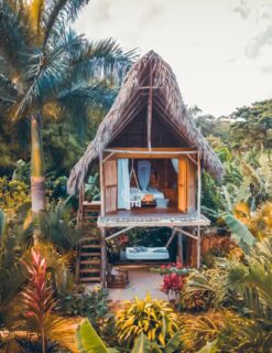 Dormir en pleine nature sans rien sacrifier au confort ? C’est toute la magie des écolodges. 🌿
La République Dominicaine protège environ un quart de son territoire en aires protégées, parcs nationaux, réserves, forêts
de montagne. C’est là qu’on trouve nos écolodges préférés : cabanes perchées à Jarabacoa, lodges au bord d’une rivière à
Barahona, refuges en bois à El Valle. On s’y réveille au chant des oiseaux, on mange local, on ralentit vraiment.
Notre secret ? Chaque écolodge est sélectionné avec soin, pour son emplacement et son engagement écologique. C’est notre façon préférée de voyager : responsable, authentique et 100% dépaysante.
🌱 Un séjour nature vous tente ? Écrivez-nous en DM, on vous montre nos adresses coup de cœur.
#republiquedominicaine #voyage #ecolodge