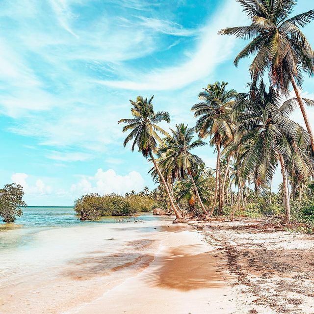 Plage bordée de cocotiers à Las Terrenas, péninsule de Samaná