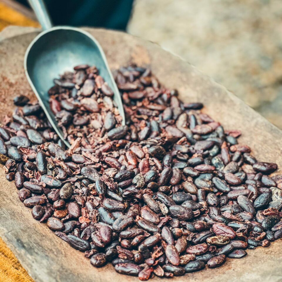 cacao
